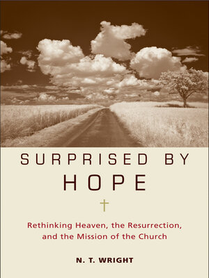 cover image of Surprised by Hope